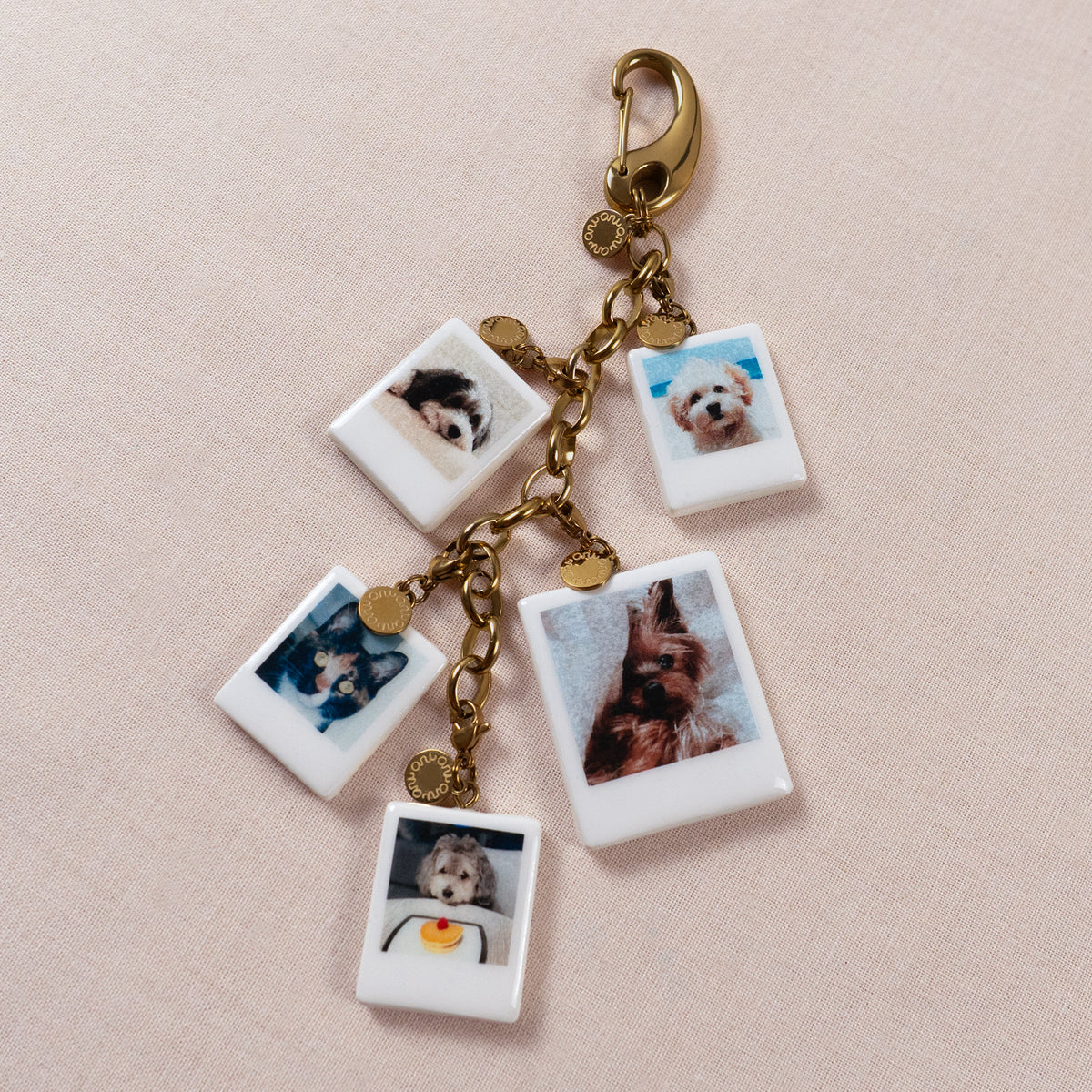 Signature Chain